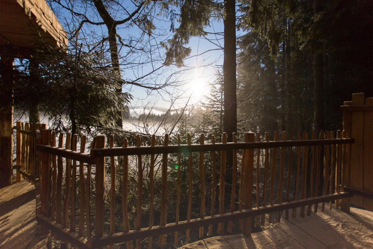 Domaine De L'Authentique Cabanes Dans Les Arbres Fournet-Blancheroche Exteriör bild