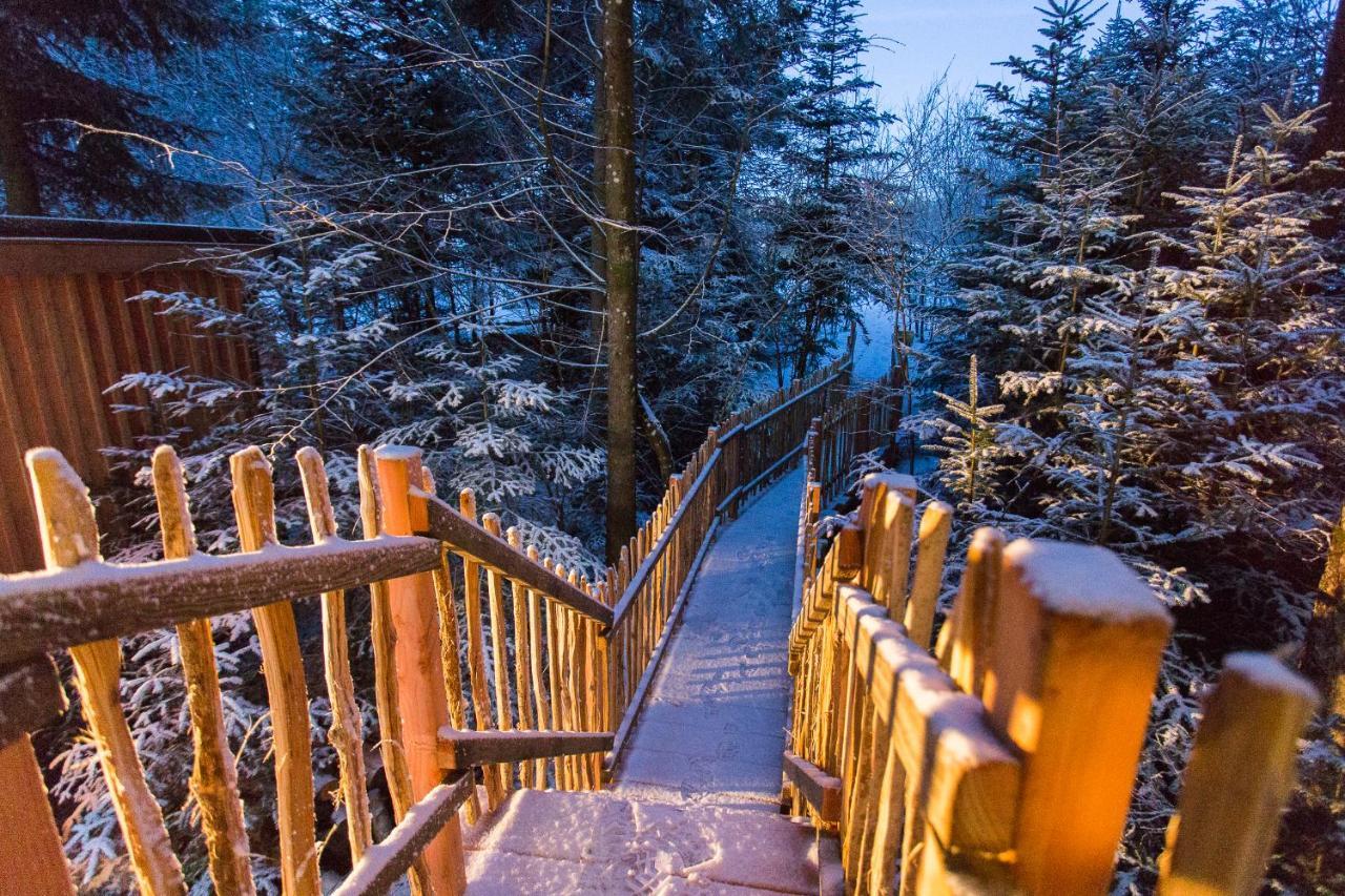 Domaine De L'Authentique Cabanes Dans Les Arbres Fournet-Blancheroche Exteriör bild